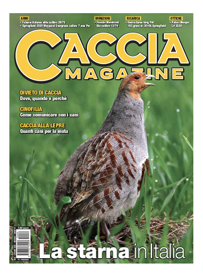 CACCIA MAGAZINE - Giugno 2025 - digitale