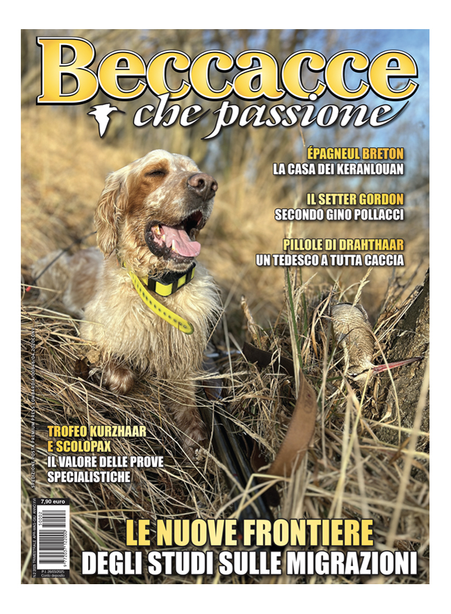 BECCACCE CHE PASSIONE - Aprile / Maggio / Giugno 2025 - cartaceo