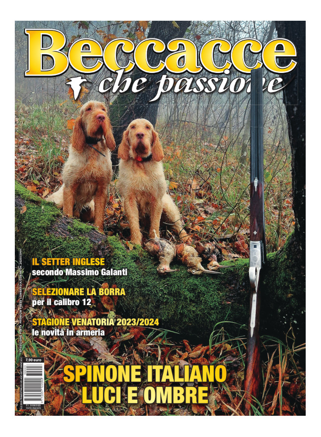 BECCACCE CHE PASSIONE - Luglio / Agosto / Settembre 2023 - cartaceo