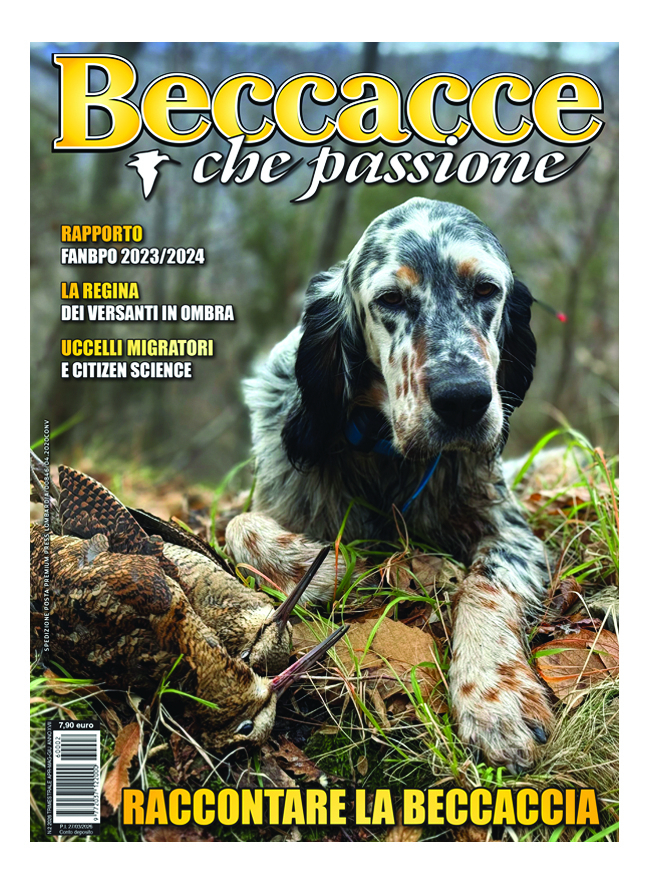 BECCACCE CHE PASSIONE - Aprile / Maggio / Giugno 2026 - cartaceo
