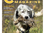 CACCIA MAGAZINE - Dicembre 2023 - digitale