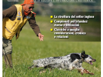 GAZZETTA DELLA CINOFILIA - Luglio 2026 - cartaceo